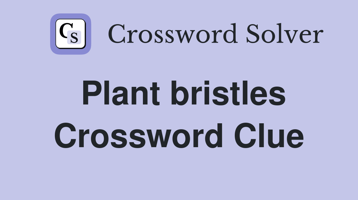 Plant bristles Crossword Clue Answers Crossword Solver